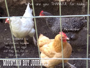 Mountain Boy Journals 30 Days of Thankfulness Day 7