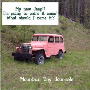 Willy Utility Wagon - Mountain Boy Journals