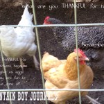 Mountain Boy Journals 30 Days of Thankfulness Day 7